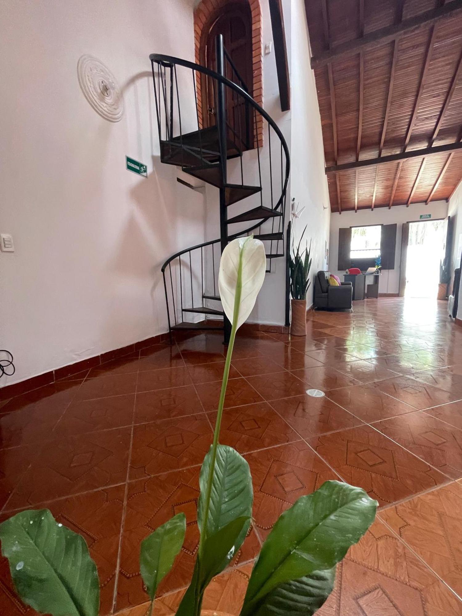 Hostel La Hormiga בריצ'ארה מראה חיצוני תמונה
